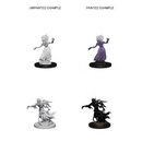 D&D Nolzurs Marvelous Miniatures - Wraith & Specter