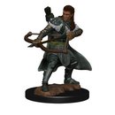 D&D Icons of the Realms: Premium Painted Figure - Human...
