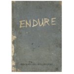 Endure: Ein Survival-Rollenspiel