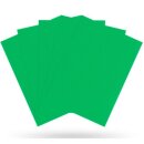 DS100 - Matte Sleeves - Apple Green