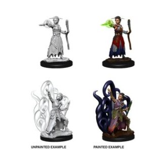 D&D Nolzurs Marvelous Miniatures - Female Human Warlock