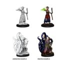 D&D Nolzurs Marvelous Miniatures - Female Human Warlock
