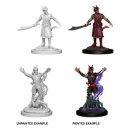 D&D Nolzurs Marvelous Miniatures: Male Tiefling Warlock