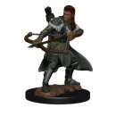 D&D Icons of the Realms: Premium Painted Figure -...