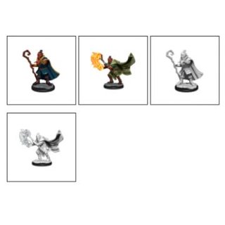 Critical Role Unpainted Miniatures: Hobgoblin Wizard and Druid Male