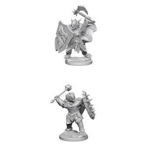 D&D Nolzurs Marvelous Miniatures - Dragonborn Male Paladin