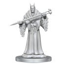 Magic: The Gathering Unpainted Miniatures: Lord Xander,...
