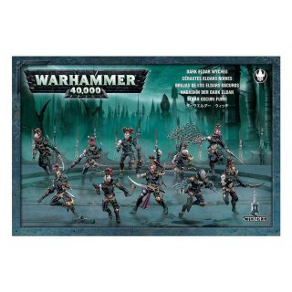 Drukhari Hekatarii (Hagashin) / Wyches