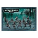 Drukhari Hekatarii (Hagashin) / Wyches
