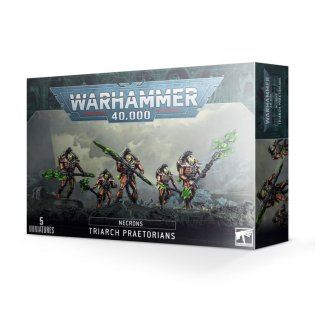 Necrons: Triarchat-Prätorianer