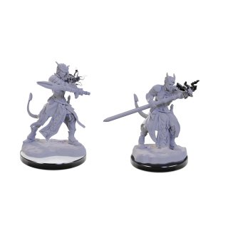 D&D Nolzurs Marvelous Miniatures: Tiefling Warlocks