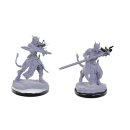 D&D Nolzurs Marvelous Miniatures: Tiefling Warlocks