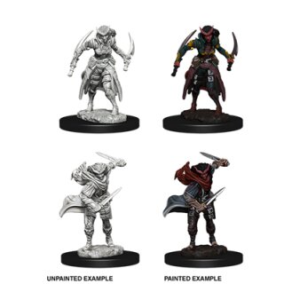 D&D Nolzurs Marvelous Miniatures - Tiefling Female Rogue