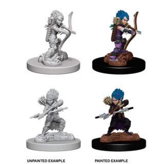 Pathfinder Deepcuts: Female Gnome Rogue