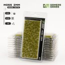 Moss 2mm Tufts