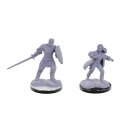 D&D Nolzurs Marvelous Miniatures: Reborn Paladin...