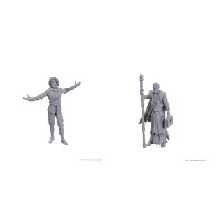 D&D Nolzurs Marvelous Miniatures: Special Edition Baldurs Gate 3 — Volo & Withers