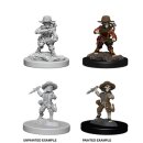 Pathfinder Battles Deep Cuts Unpainted Miniatures - Male...