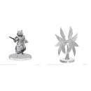 Pathfinder Battles Deep Cuts: Procyal (Raccoon Agathion)...