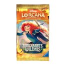 Unbekannte Wildnis - Booster (DE)