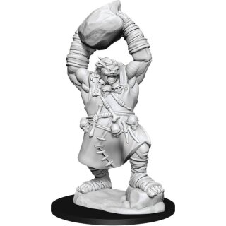 Pathfinder Deep Cuts Miniatures W11 Ogre MOQ2