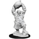 Pathfinder Deep Cuts Miniatures W11 Ogre MOQ2