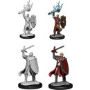 D&D Nolzurs Marvelous Miniatures W14 Half-Elf Paladin...