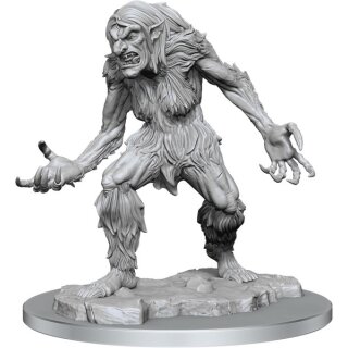 D&D Nolzurs Marvelous Miniatures W16 Ice Troll Female MOQ2