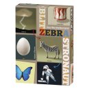 Blitz Zebra Astronaut