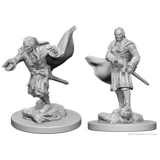 D&D Nolzurs Marvelous Miniatures: Vampires
