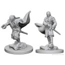 D&D Nolzurs Marvelous Miniatures: Vampires