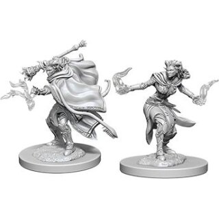 D&D Nolzurs Marvelous Miniatures - Female Tiefling Warlock