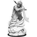 D&D Nolzurs Marvelous Miniatures: Djinni
