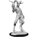D&D Nolzurs Marvelous Miniatures: Nightwalker