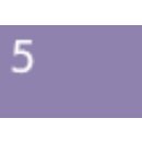 Warhammer Pro Paints - Hivefleet Purple (5)