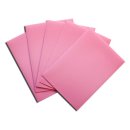 Dragon Shield Pink Sleeves (100)